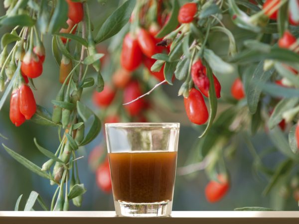 Ningxia red – The super Antioxydant Juice