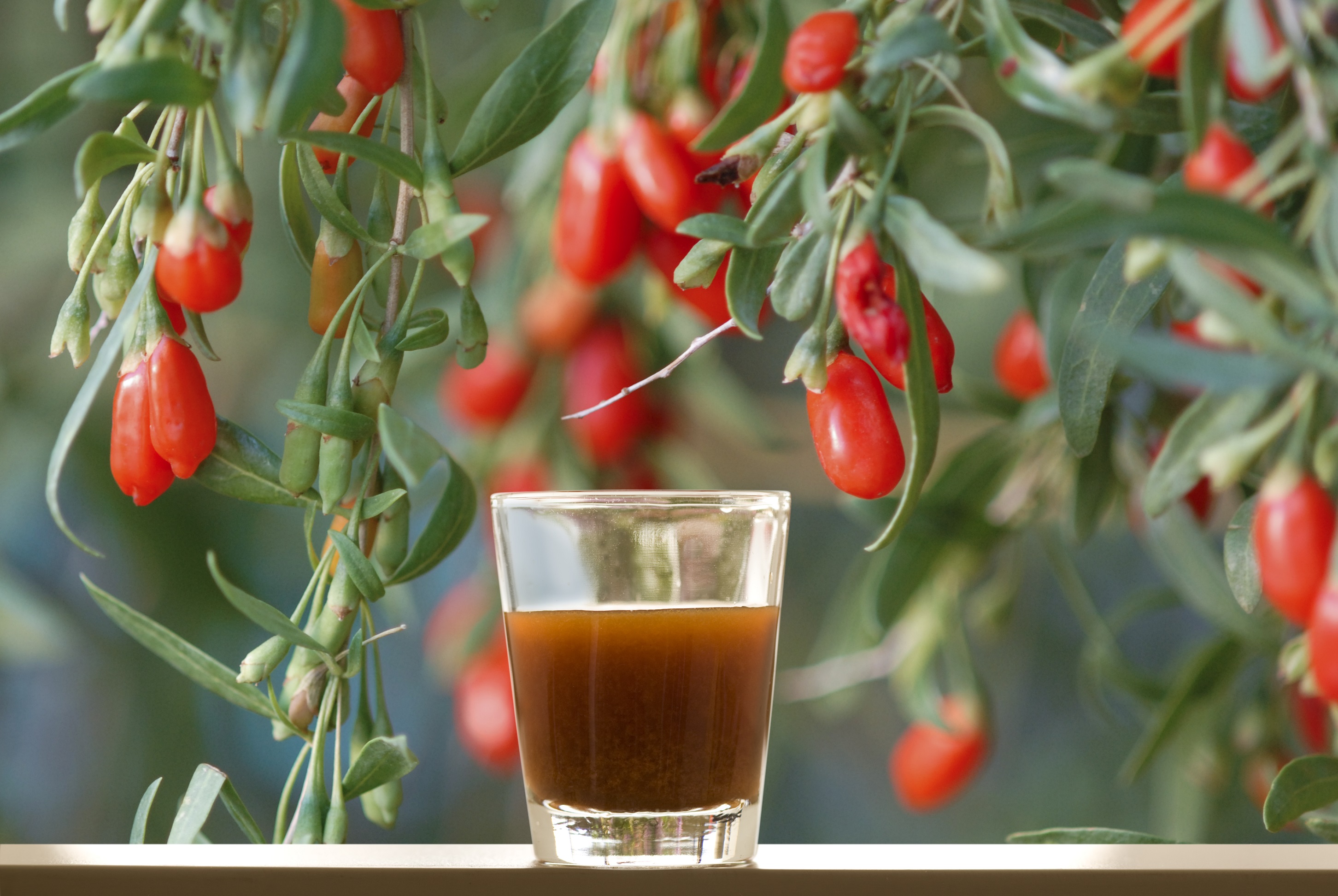 Ningxia red – The super Antioxydant Juice